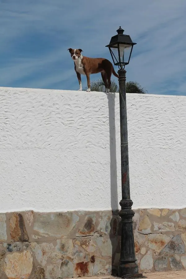 Golf View Apartment - Stunning Ocean View Golf Del Sur San Miguel de Abona 0*,